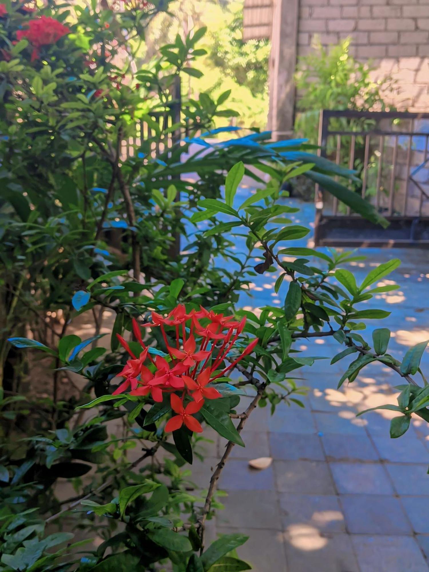 Three V Homestay Kuta  Екстер'єр фото