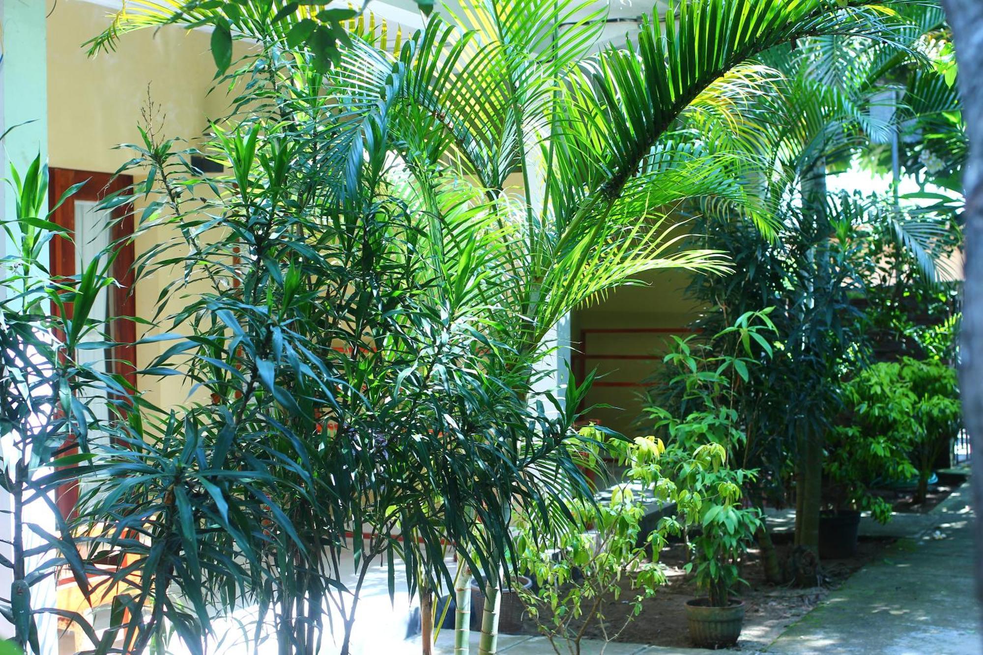 Three V Homestay Kuta  Екстер'єр фото
