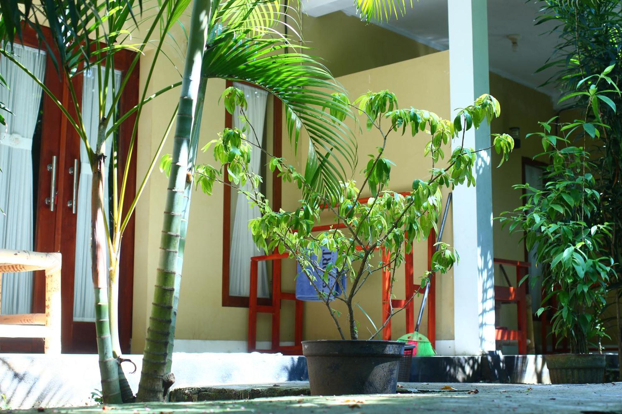 Three V Homestay Kuta  Екстер'єр фото
