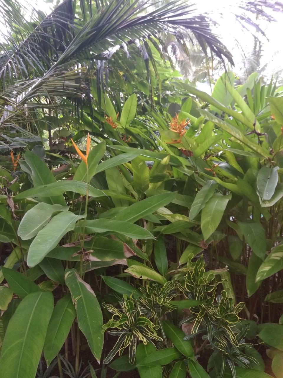 Three V Homestay Kuta  Екстер'єр фото